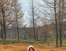 �ǳ��ÿ�˿����˿��Ĩ��ȹ